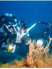 Underwater Camera Market Analysis, Size, and Forecast 2025-2029: North America (US and Canada), Europe (France, Germany, Italy, and UK), APAC (China and Japan), South America (Brazil), and Rest of World (ROW)