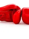Boxing Equipment Market Analysis, Size, and Forecast 2025-2029: North America (US, Canada, and Mexico), Europe (France, Germany, Italy, Spain, and UK), APAC (China and Japan), and Rest of World (ROW)