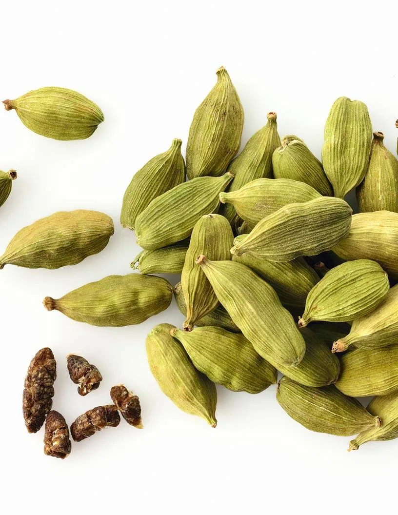 Cardamom Market Analysis, Size, and Forecast 2025-2029: North America (US), Europe (Germany, Italy, and UK), APAC (China, India, Japan, and South Korea), and Rest of World (ROW)